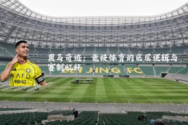 黑马奇迹：竞技体育的底层逻辑与赛制杠杆